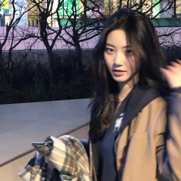 亲爱的同伙